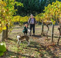 Little River Wines of Taggerty - Great Ocean Road Tourism