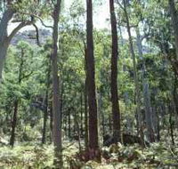 Cathedral Range State Park - Great Ocean Road Tourism