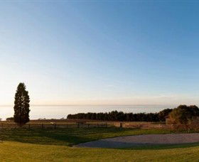Jack Rabbit Vineyard - Great Ocean Road Tourism 3