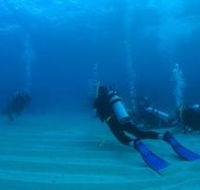 Man and Wife Rocks Dive Site - Great Ocean Road Tourism