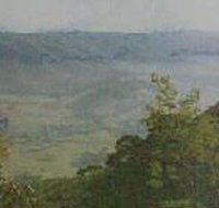 Mount Granya State Park - Great Ocean Road Tourism