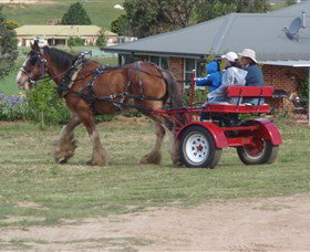 Bathurst Farm Experience - Great Ocean Road Tourism 3