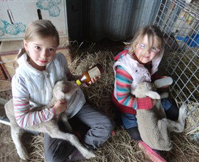 Bathurst Farm Experience - Great Ocean Road Tourism 4