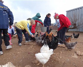 Bathurst Farm Experience - Great Ocean Road Tourism 2