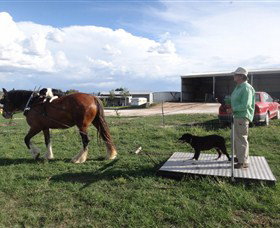 Bathurst Farm Experience - Great Ocean Road Tourism 6