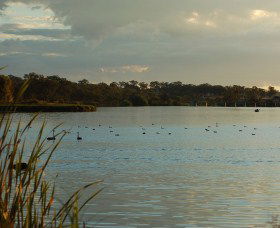 Lake Inverell Reserve - Great Ocean Road Tourism 0