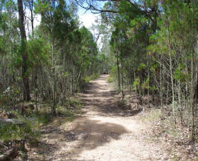 Goonoowigall State Conservation Area - Great Ocean Road Tourism 1