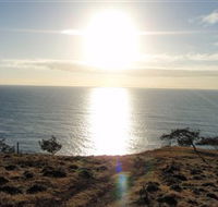 Southend Curtis Island - Great Ocean Road Tourism