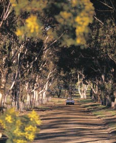 Albert Facey Heritage Trail - Great Ocean Road Tourism 0
