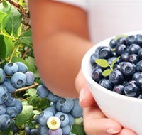 Jolly Berries - Great Ocean Road Tourism