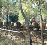 7 Oaks Sapphire Fossicking - Great Ocean Road Tourism