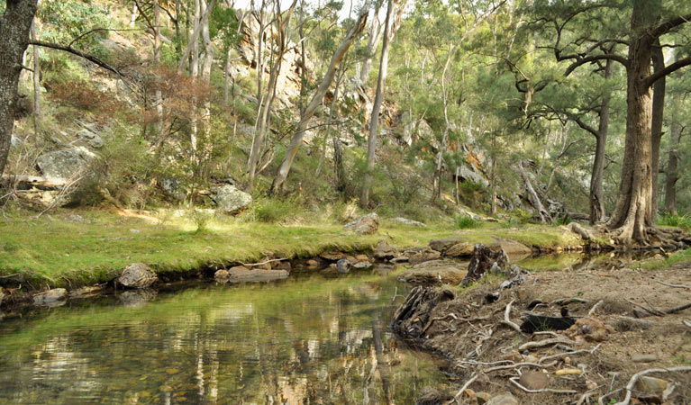 Glen Alice NSW Great Ocean Road Tourism
