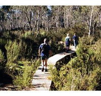 Hume and Hovell Walking Track - Henry Angel Trackhead - Great Ocean Road Tourism