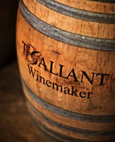 T'Gallant Winemakers - Great Ocean Road Tourism 0