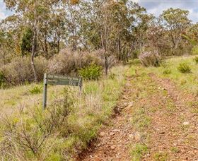 Old Mountain Road Walking Track - Great Ocean Road Tourism 0