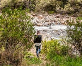 Old Mountain Road Walking Track - Great Ocean Road Tourism 1