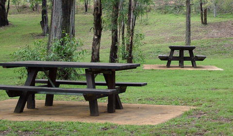 Towarri National Park - Great Ocean Road Tourism 2