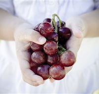 Granitevale  Estate Winery - Great Ocean Road Tourism