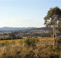 Yarrh Wines - Great Ocean Road Tourism