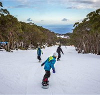 Mt Baw Baw Alpine Resort - Great Ocean Road Tourism