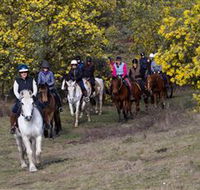 Burnelee Excursions on Horseback - Great Ocean Road Tourism