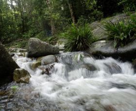 Washpool National Park - Great Ocean Road Tourism 0