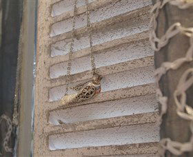 Sacs On Jenkins - Great Ocean Road Tourism 6