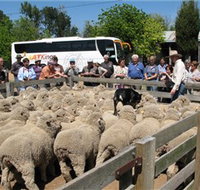 Gold Creek Station - Great Ocean Road Tourism
