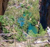 Carlotta Arch walking track - Great Ocean Road Tourism