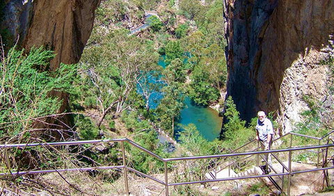 Carlotta Arch Walking Track - Great Ocean Road Tourism 0