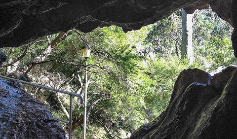 Carlotta Arch Walking Track - Great Ocean Road Tourism 1