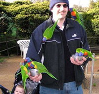 Canberra Walk In Aviary - Great Ocean Road Tourism