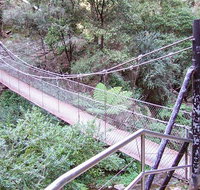 Jenolan River walking track - Great Ocean Road Tourism