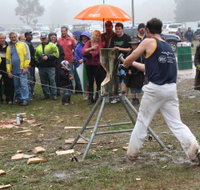 Lockyers Road Walking Track - Great Ocean Road Tourism