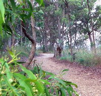 Mount Mutton Walking Trail - Great Ocean Road Tourism