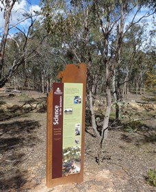 Mulligans Flat - Great Ocean Road Tourism 1