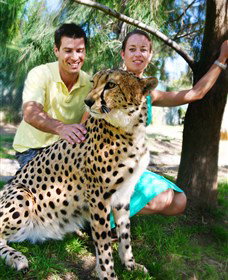 National Zoo & Aquarium - Great Ocean Road Tourism 0