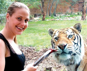 National Zoo & Aquarium - Great Ocean Road Tourism 1