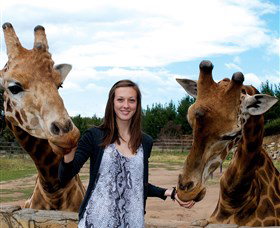 National Zoo & Aquarium - Great Ocean Road Tourism 2