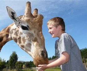 National Zoo & Aquarium - Great Ocean Road Tourism 3