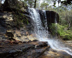Spirit Safaris - Great Ocean Road Tourism 1