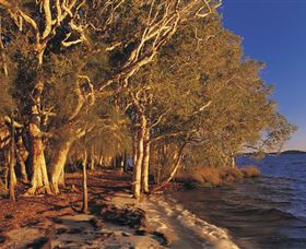 East Coast Adventure Bus - Great Ocean Road Tourism 2