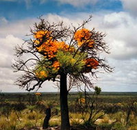 The Delmar Gallery - Great Ocean Road Tourism