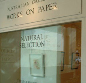 Australian Galleries - Roylston Street - Great Ocean Road Tourism 1