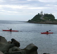 Newcastle Kayak Tours - Great Ocean Road Tourism