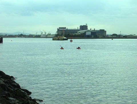 Newcastle Kayak Tours - Great Ocean Road Tourism 5