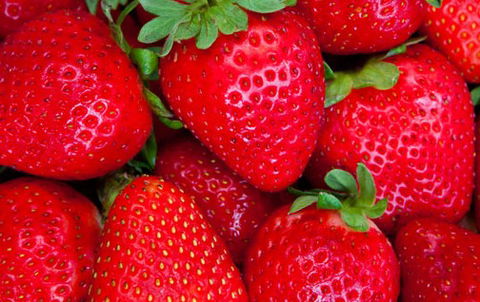 Newcastle City Farmers Markets - Great Ocean Road Tourism 2