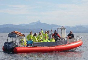 Byron Bay Whale Watching - Great Ocean Road Tourism 2