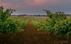 Wine Class - thumb 0