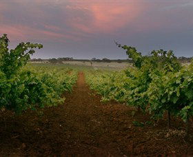Wine Class - Great Ocean Road Tourism 0